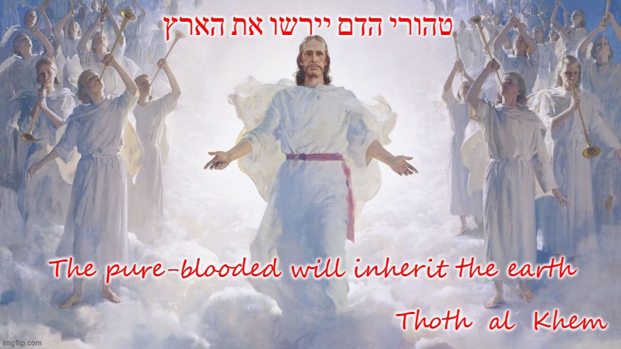 CLOT SHOT FREE | טהורי הדם יירשו את הארץ; The pure-blooded will inherit the earth
   
                                       Thoth  al  Khem | image tagged in jesus,anunnaki,eashua,covid is a hoax | made w/ Imgflip meme maker