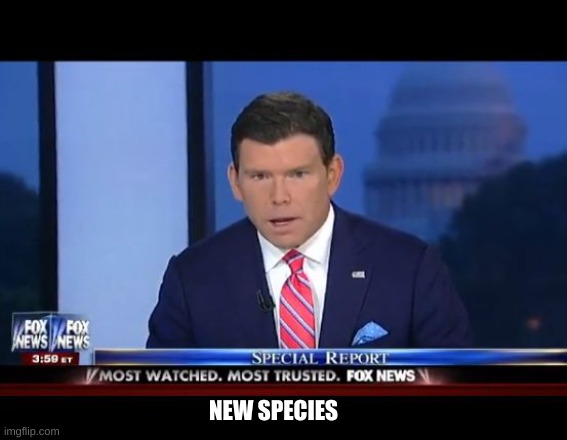 Fox News Special Report | NEW SPECIES | image tagged in fox news special report | made w/ Imgflip meme maker