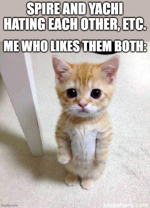 tell me i'm not alone. and this kinda moment has always been true for me | SPIRE AND YACHI HATING EACH OTHER, ETC. ME WHO LIKES THEM BOTH: | image tagged in memes,cute cat | made w/ Imgflip meme maker