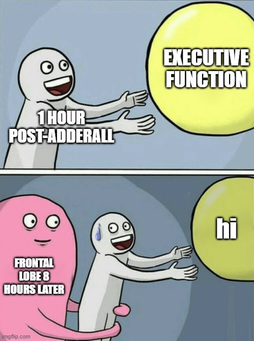 A day in the life of ADHD | EXECUTIVE FUNCTION; 1 HOUR POST-ADDERALL; hi; FRONTAL LOBE 8 HOURS LATER | image tagged in memes,running away balloon | made w/ Imgflip meme maker