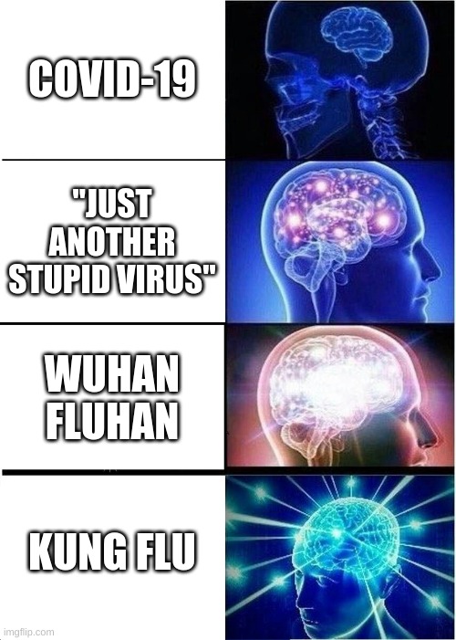 LOL | COVID-19; "JUST ANOTHER STUPID VIRUS"; WUHAN FLUHAN; KUNG FLU | image tagged in memes,expanding brain,covid-19 | made w/ Imgflip meme maker
