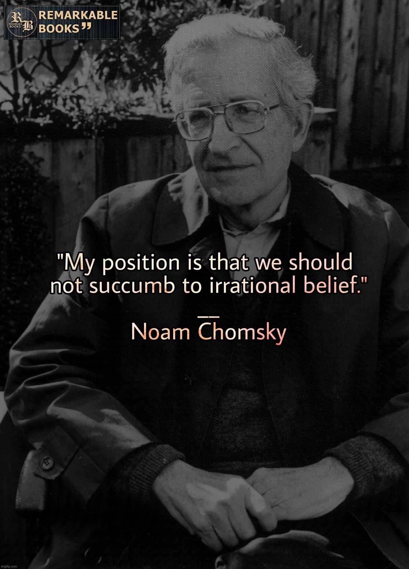 Noam Chomsky | image tagged in noam chomsky | made w/ Imgflip meme maker