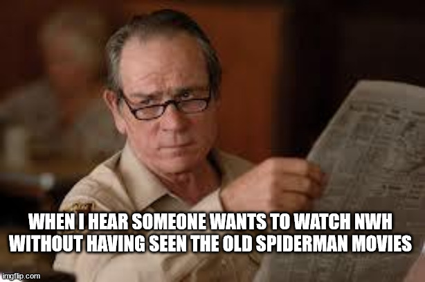 no country for old men tommy lee jones | WHEN I HEAR SOMEONE WANTS TO WATCH NWH WITHOUT HAVING SEEN THE OLD SPIDERMAN MOVIES | image tagged in no country for old men tommy lee jones | made w/ Imgflip meme maker