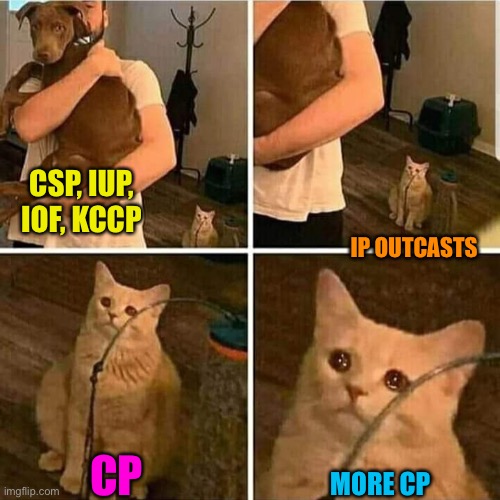 This is legit | CSP, IUP, IOF, KCCP; IP OUTCASTS; CP; MORE CP | image tagged in sad cat holding dog | made w/ Imgflip meme maker