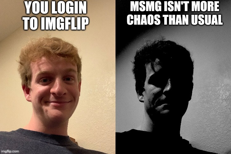 TheLargePig becoming slightly uncanny | YOU LOGIN TO IMGFLIP; MSMG ISN'T MORE CHAOS THAN USUAL | image tagged in thelargepig becoming slightly uncanny | made w/ Imgflip meme maker