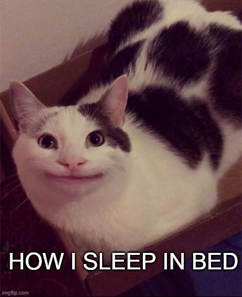 Sitting in bed | HOW I SLEEP IN BED | image tagged in polite loaf | made w/ Imgflip meme maker