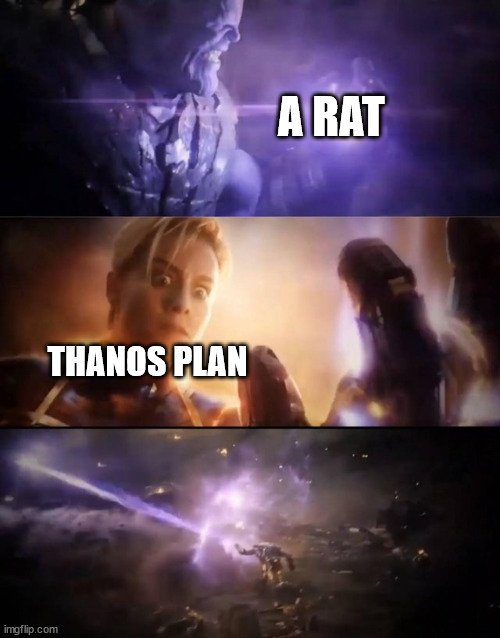 Thanos vs. Captain Marvel | A RAT; THANOS PLAN | image tagged in thanos vs captain marvel | made w/ Imgflip meme maker