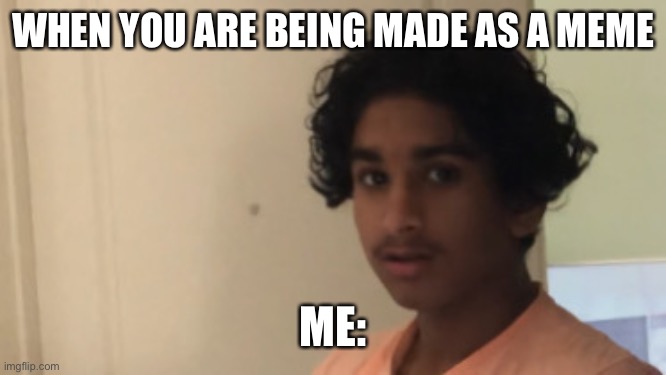 New Meme | WHEN YOU ARE BEING MADE AS A MEME; ME: | image tagged in when you | made w/ Imgflip meme maker