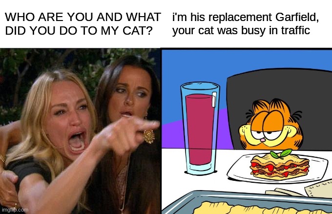 WHO ARE YOU AND WHAT DID YOU DO TO MY CAT? i'm his replacement Garfield, your cat was busy in traffic | image tagged in woman yelling at cat,garfield,memes | made w/ Imgflip meme maker