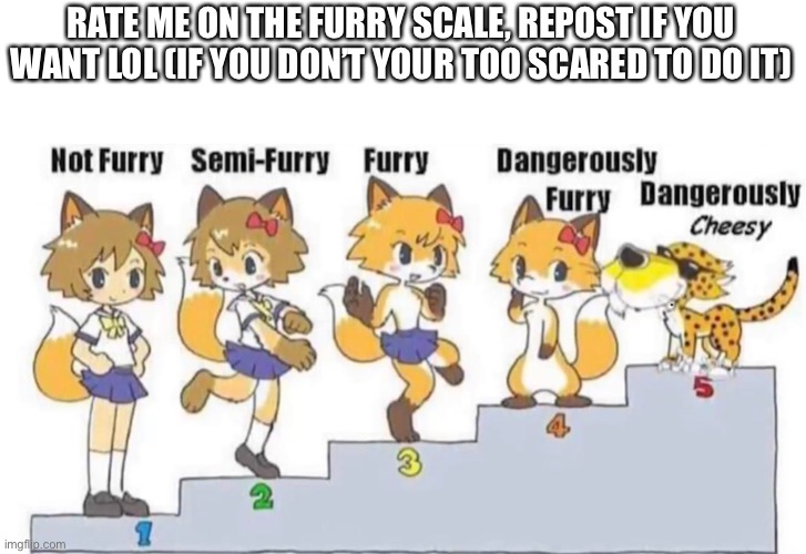 Obviously 5 doesn’t count since it’s a meme but it’s funny so I used this lol | RATE ME ON THE FURRY SCALE, REPOST IF YOU WANT LOL (IF YOU DON’T YOUR TOO SCARED TO DO IT) | made w/ Imgflip meme maker