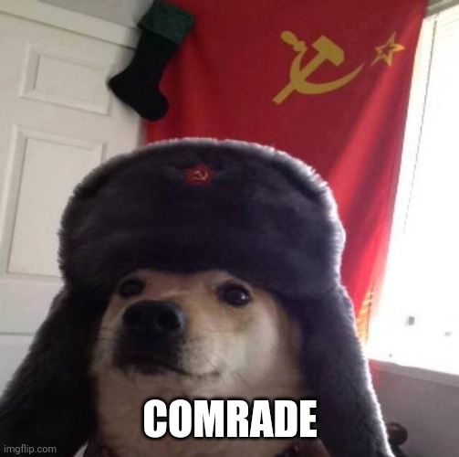 Russian Doge | COMRADE | image tagged in russian doge | made w/ Imgflip meme maker