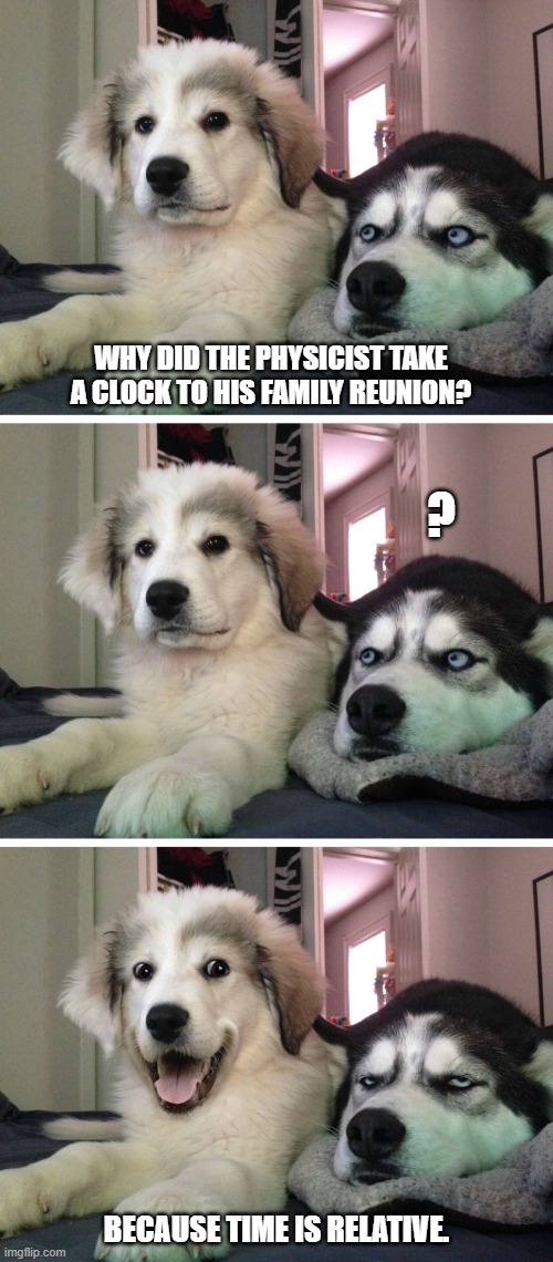 Bad pun dogs | WHY DID THE PHYSICIST TAKE A CLOCK TO HIS FAMILY REUNION? ? BECAUSE TIME IS RELATIVE. | image tagged in bad pun dogs,science,physics | made w/ Imgflip meme maker