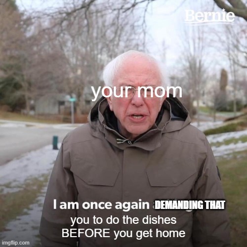 Bernie I Am Once Again Asking For Your Support | your mom; DEMANDING THAT; you to do the dishes
BEFORE you get home | image tagged in memes,bernie i am once again asking for your support | made w/ Imgflip meme maker