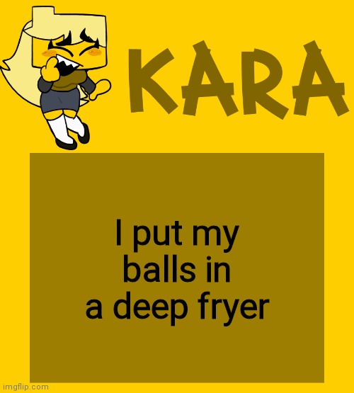 Kara's Meri temp | I put my balls in a deep fryer | image tagged in kara's meri temp | made w/ Imgflip meme maker