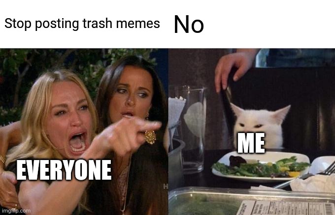 No | Stop posting trash memes; No; ME; EVERYONE | image tagged in memes,woman yelling at cat | made w/ Imgflip meme maker
