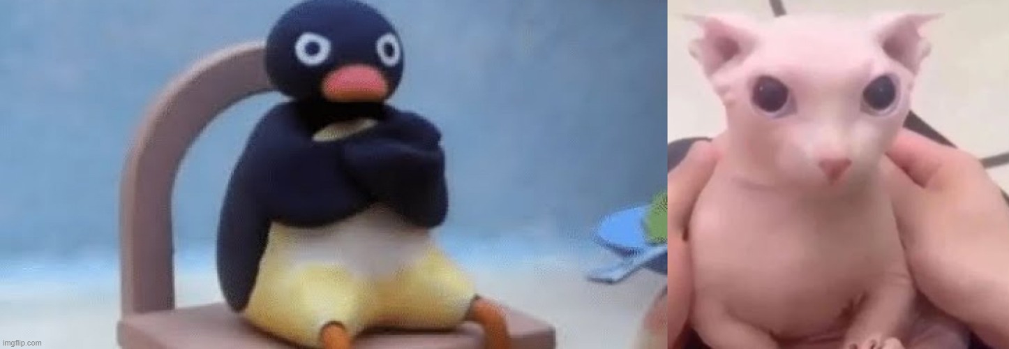 image tagged in now i don't want,bingus | made w/ Imgflip meme maker