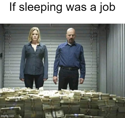 i wish | If sleeping was a job | image tagged in job | made w/ Imgflip meme maker