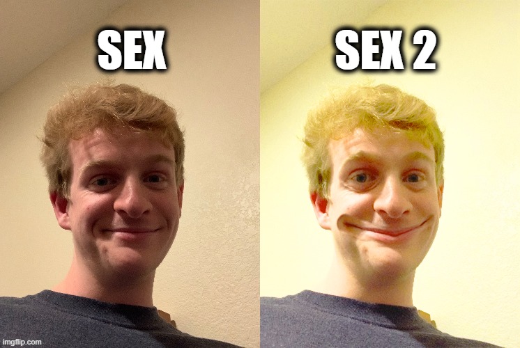 They improved the graphics and storyline in sex 2, it was an amazing experience | SEX; SEX 2 | image tagged in thelargepig becoming slightly canny | made w/ Imgflip meme maker
