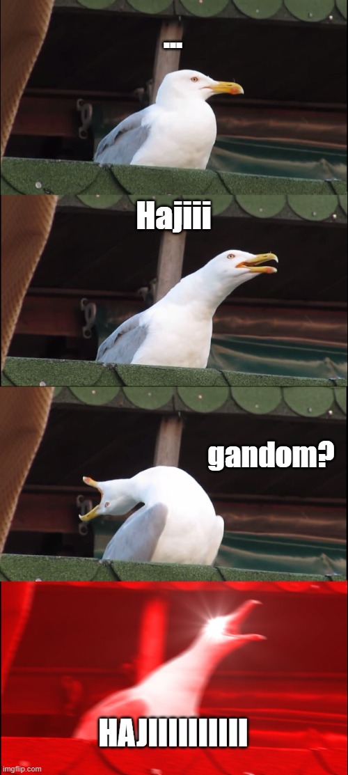 Casco | ... Hajiii; gandom? HAJIIIIIIIIII | image tagged in memes,inhaling seagull | made w/ Imgflip meme maker