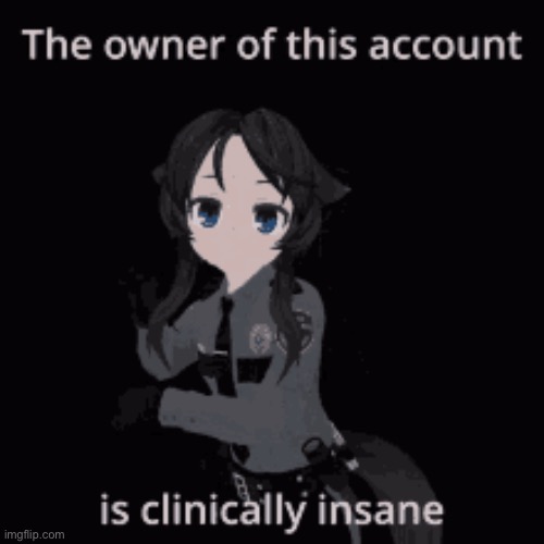 the owner of this account is clinically insane | image tagged in the owner of this account is clinically insane | made w/ Imgflip meme maker