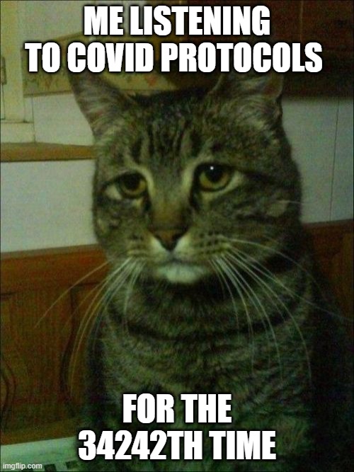 lol | ME LISTENING TO COVID PROTOCOLS; FOR THE 34242TH TIME | image tagged in memes,depressed cat | made w/ Imgflip meme maker