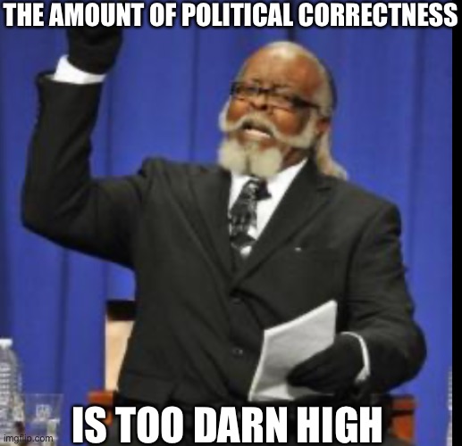 THE AMOUNT OF POLITICAL CORRECTNESS IS TOO DARN HIGH | made w/ Imgflip meme maker