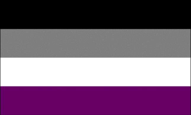 ace flag | image tagged in ace flag | made w/ Imgflip meme maker