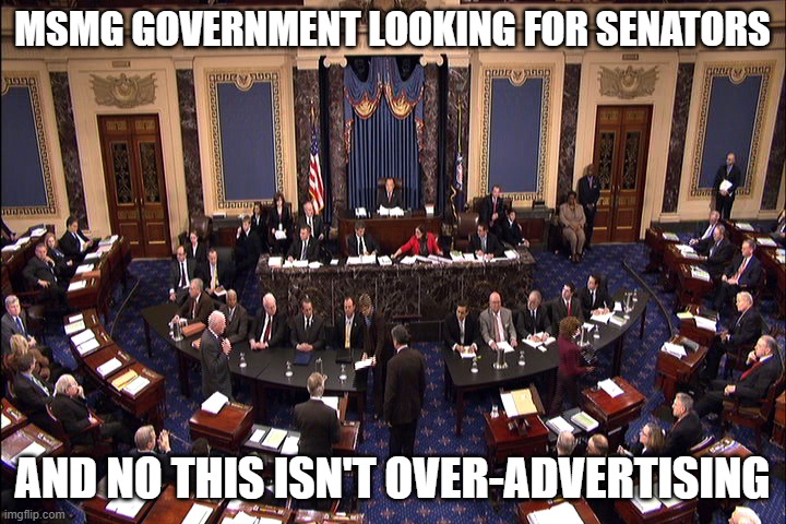 Sign up in the comments | MSMG GOVERNMENT LOOKING FOR SENATORS; AND NO THIS ISN'T OVER-ADVERTISING | image tagged in senate floor | made w/ Imgflip meme maker