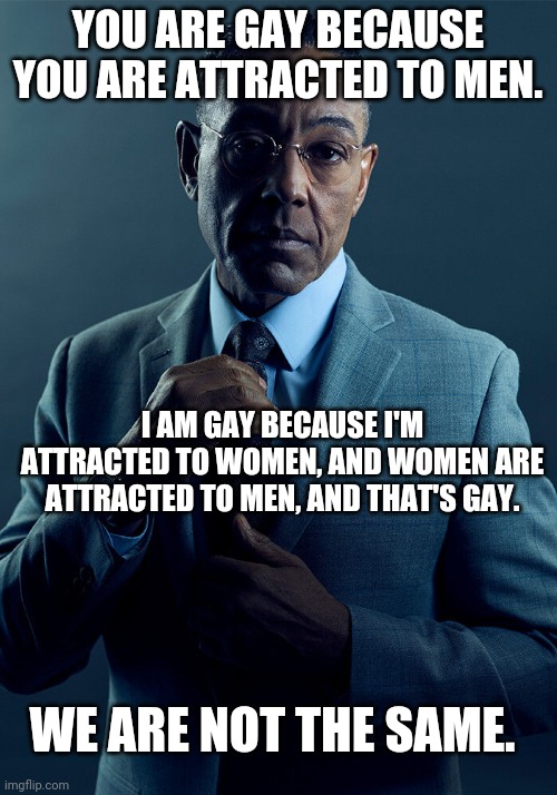 Why are you gay? | YOU ARE GAY BECAUSE YOU ARE ATTRACTED TO MEN. I AM GAY BECAUSE I'M ATTRACTED TO WOMEN, AND WOMEN ARE ATTRACTED TO MEN, AND THAT'S GAY. WE ARE NOT THE SAME. | image tagged in gus fring we are not the same,oh wow are you actually reading these tags,women,gay,why are you gay | made w/ Imgflip meme maker