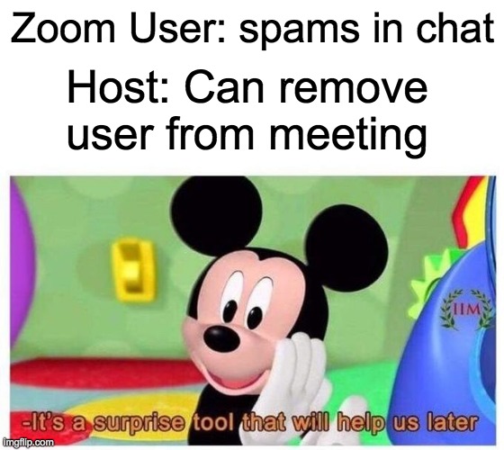 It's a surprise tool that will help us later | Zoom User: spams in chat; Host: Can remove user from meeting | image tagged in it's a surprise tool that will help us later | made w/ Imgflip meme maker