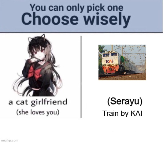 My KAI |  (Serayu); Train by KAI | image tagged in choose wisely,memes | made w/ Imgflip meme maker