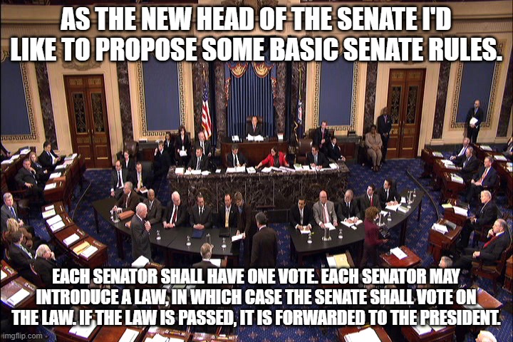 This is just commonplace | AS THE NEW HEAD OF THE SENATE I'D LIKE TO PROPOSE SOME BASIC SENATE RULES. EACH SENATOR SHALL HAVE ONE VOTE. EACH SENATOR MAY INTRODUCE A LAW, IN WHICH CASE THE SENATE SHALL VOTE ON THE LAW. IF THE LAW IS PASSED, IT IS FORWARDED TO THE PRESIDENT. | image tagged in senate floor | made w/ Imgflip meme maker