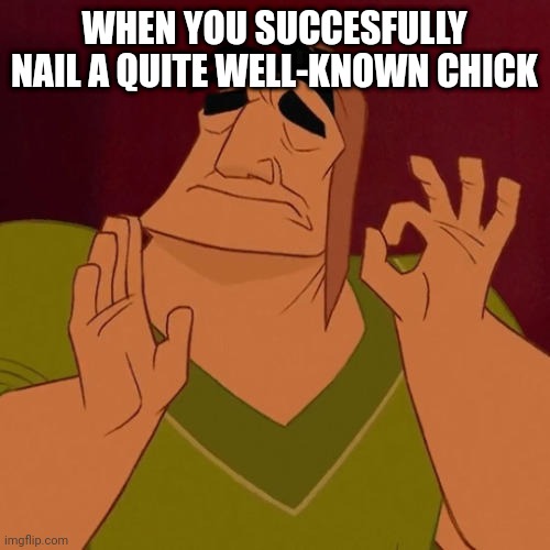 3rd time lmaoo | WHEN YOU SUCCESFULLY NAIL A QUITE WELL-KNOWN CHICK | image tagged in when x just right | made w/ Imgflip meme maker