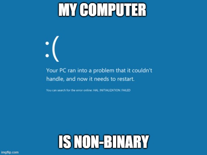 Non-Binary |  MY COMPUTER; IS NON-BINARY | image tagged in blue screen of death | made w/ Imgflip meme maker