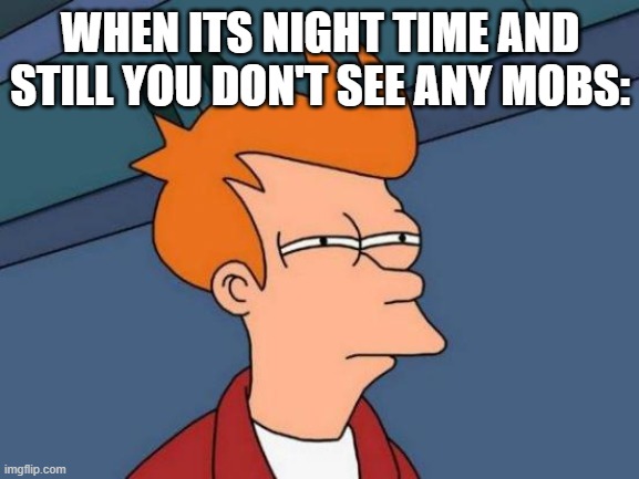 Something's not right |  WHEN ITS NIGHT TIME AND STILL YOU DON'T SEE ANY MOBS: | image tagged in memes,futurama fry | made w/ Imgflip meme maker