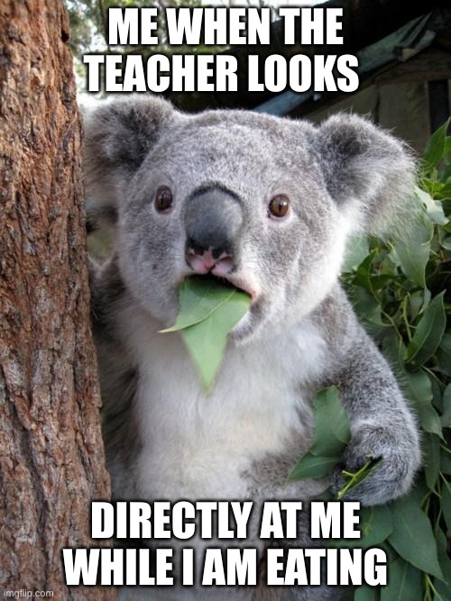 Surprised Koala |  ME WHEN THE TEACHER LOOKS; DIRECTLY AT ME WHILE I AM EATING | image tagged in memes,surprised koala | made w/ Imgflip meme maker