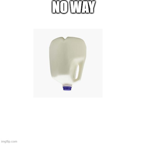 Blank Transparent Square Meme | NO WAY | image tagged in memes,blank transparent square | made w/ Imgflip meme maker