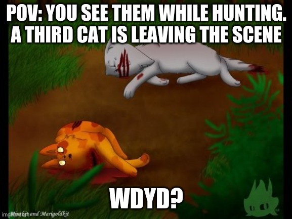 Warrior Cat RP in Comments | POV: YOU SEE THEM WHILE HUNTING. A THIRD CAT IS LEAVING THE SCENE; WDYD? | image tagged in warriors,warrior cats,cats | made w/ Imgflip meme maker