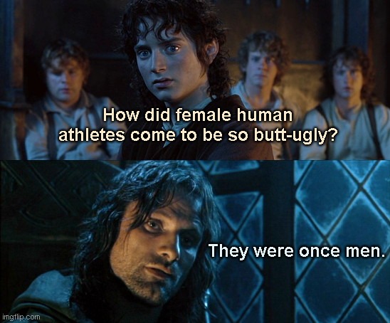 Aragorn answers | How did female human athletes come to be so butt-ugly? They were once men. | image tagged in lotr they were once men,lotr,aragorn,transgender athletes,not real women,political humor | made w/ Imgflip meme maker