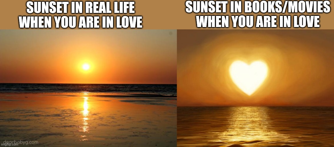 Wait, This Is Beyond Illegal | SUNSET IN BOOKS/MOVIES WHEN YOU ARE IN LOVE; SUNSET IN REAL LIFE WHEN YOU ARE IN LOVE | image tagged in beach sunset,love,wait thats illegal | made w/ Imgflip meme maker