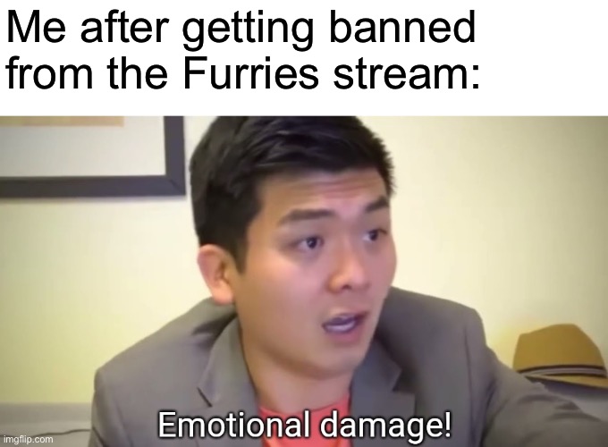 That actually kind of hurt. AND IT WAS LITERALLY FOR NO REASON | Me after getting banned from the Furries stream: | image tagged in emotional damage | made w/ Imgflip meme maker
