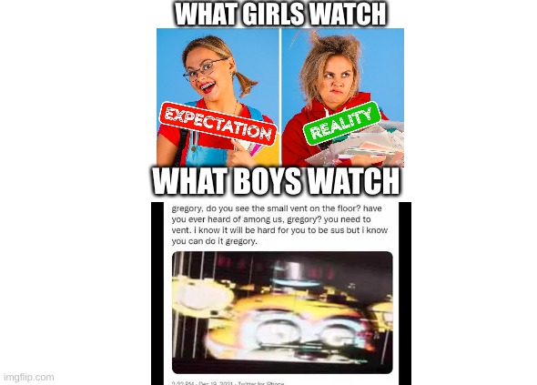 what boys vs girls watch | WHAT GIRLS WATCH; WHAT BOYS WATCH | image tagged in sus,fnaf,boys vs girls | made w/ Imgflip meme maker