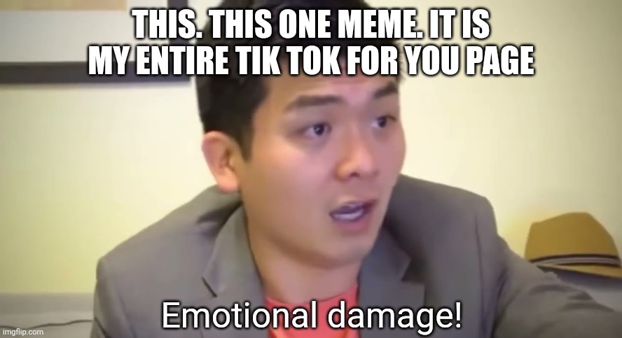 Emotional damage | THIS. THIS ONE MEME. IT IS MY ENTIRE TIK TOK FOR YOU PAGE | image tagged in emotional damage | made w/ Imgflip meme maker