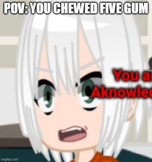 idk my wittiness is at a low | POV: YOU CHEWED FIVE GUM | made w/ Imgflip meme maker