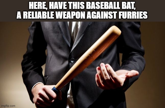 baseball bat | HERE, HAVE THIS BASEBALL BAT, A RELIABLE WEAPON AGAINST FURRIES | image tagged in baseball bat | made w/ Imgflip meme maker