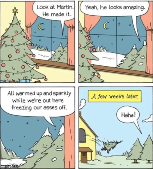 when the Christmas is over | image tagged in comics,christmas | made w/ Imgflip meme maker