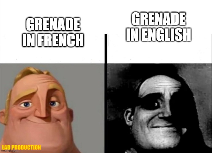 Grenade equals Pomegranate | GRENADE IN ENGLISH; GRENADE IN FRENCH; LAB PRODUCTION | image tagged in teacher's copy | made w/ Imgflip meme maker