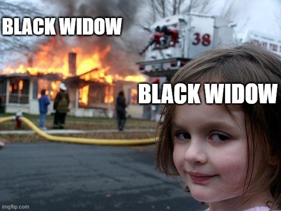 I feel this is a topic worth discussion.... | BLACK WIDOW; BLACK WIDOW | image tagged in memes,disaster girl | made w/ Imgflip meme maker