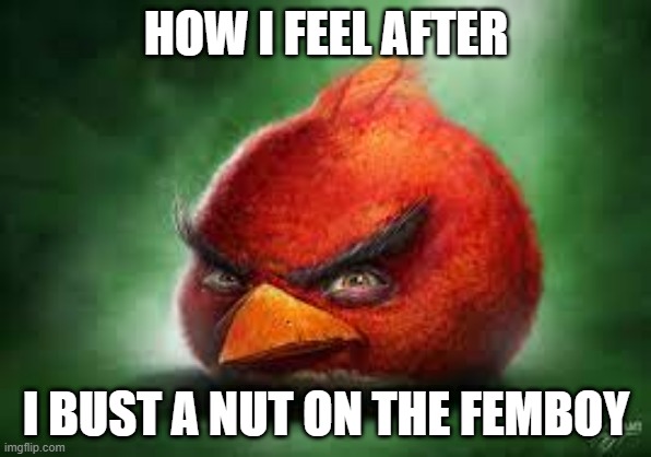 Realistic Red Angry Birds | HOW I FEEL AFTER; I BUST A NUT ON THE FEMBOY | image tagged in realistic red angry birds | made w/ Imgflip meme maker