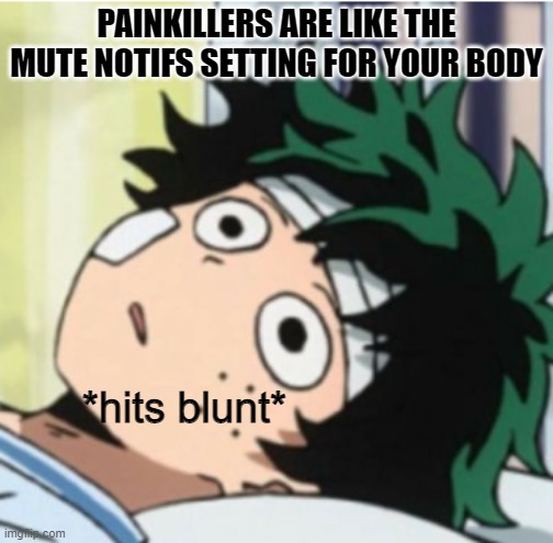 Hits blunt deku ver. | PAINKILLERS ARE LIKE THE MUTE NOTIFS SETTING FOR YOUR BODY | image tagged in hits blunt deku ver | made w/ Imgflip meme maker